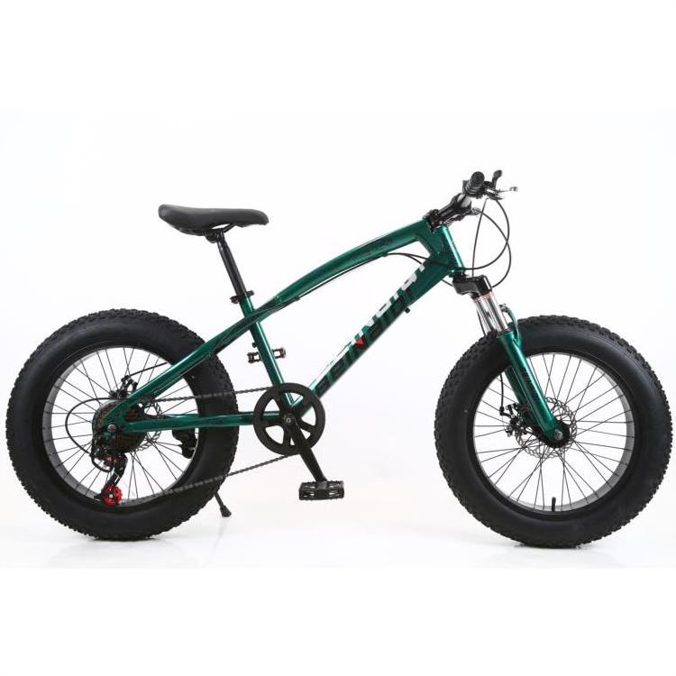 20 Inch Chopper Fat Mountain Bicycle For Sale/21 Single Speed Fat Tyre Cycle