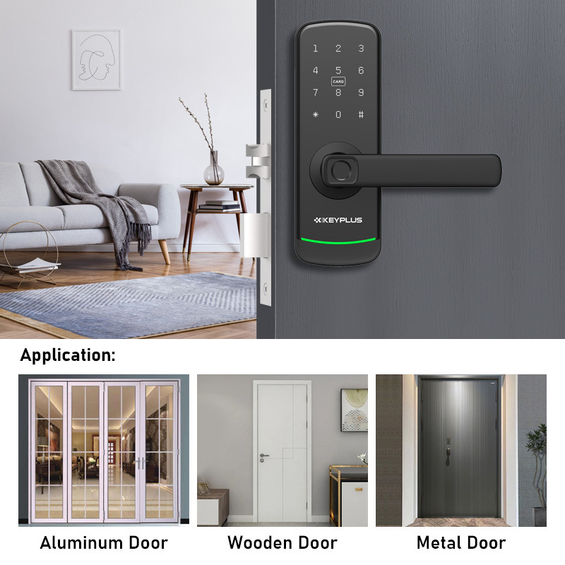 Smart Lock High Quality Biometric Electronic Entrance Wifi Ble Tt Lock Fingerprint Digital Door Lock