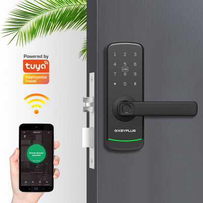 Smart Lock High Quality Biometric Electronic Entrance Wifi Ble Tt Lock Fingerprint Digital Door Lock