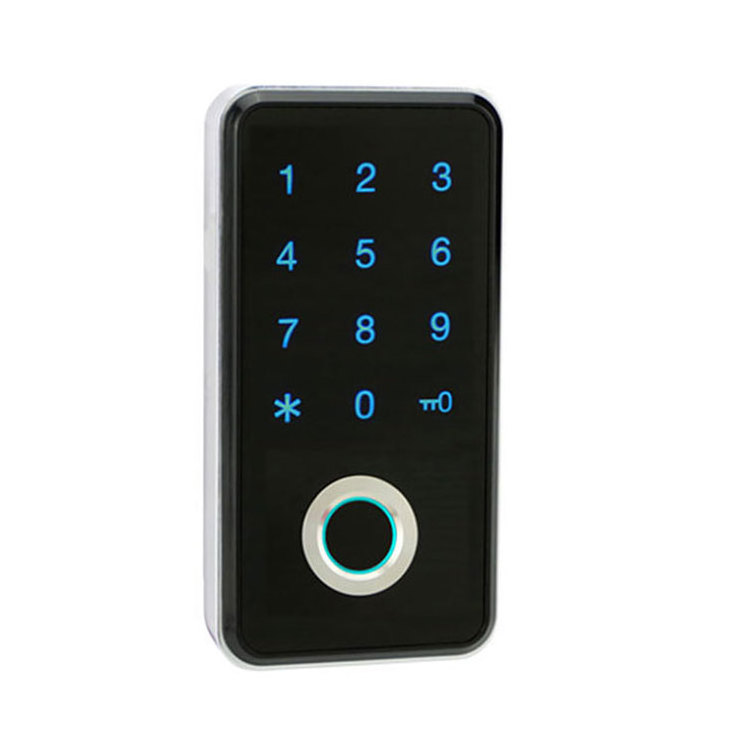 Smart Security Biometric Fingerprint Password Pin Code Finger scan Cabinet Door Locker Lock For Gym or Swimming Pool