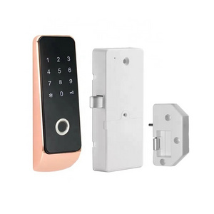 Smart Security Gym Fitness Locker Keyless Digital Biometric Fingerprint Password Door Lock Cabinet Electronic Lock