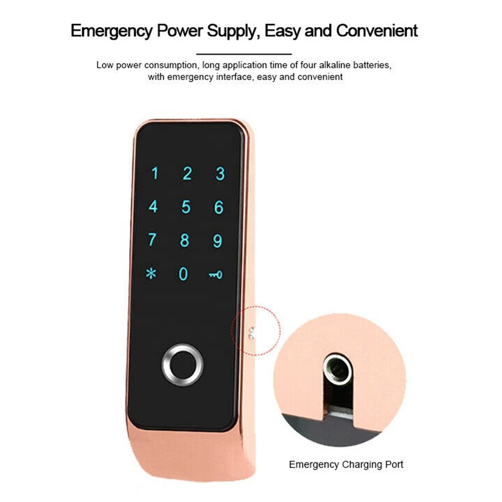 Smart Security Gym Fitness Locker Keyless Digital Biometric Fingerprint Password Door Lock Cabinet Electronic Lock