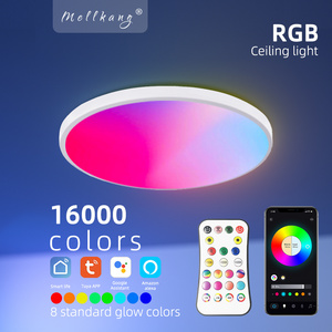 Smart home house room round alexa mobile phone dimming music rgb tuya wifi smart led ceiling light living room RGB ceiling light