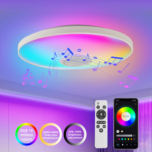 Hot Sales Modern Bluetooth Music Remote Control Color Changing Led Ceiling Lamp Smart Home Decorations Light Smart Ceiling Light