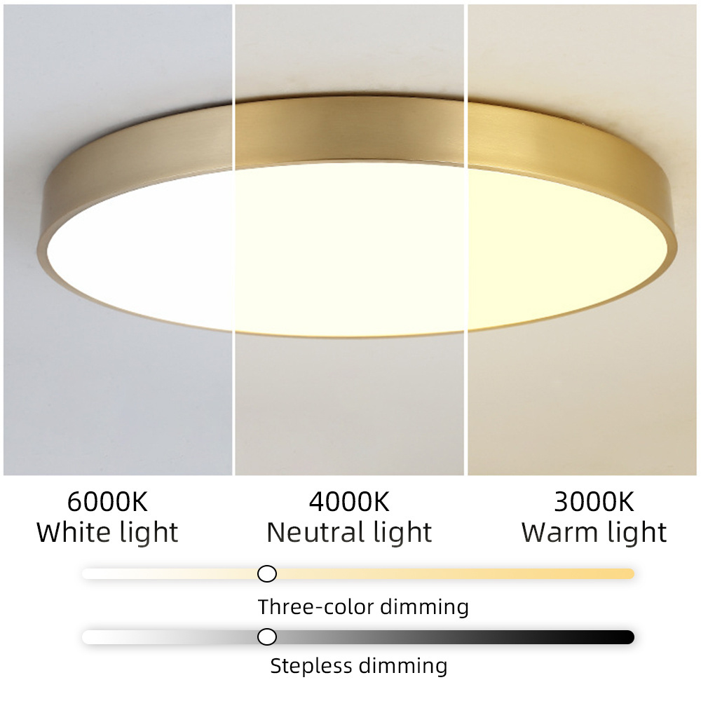 Modern acrylic gold ceiling light nordic ceiling lighting chandelier for living room bedroom home indoor round led ceiling light