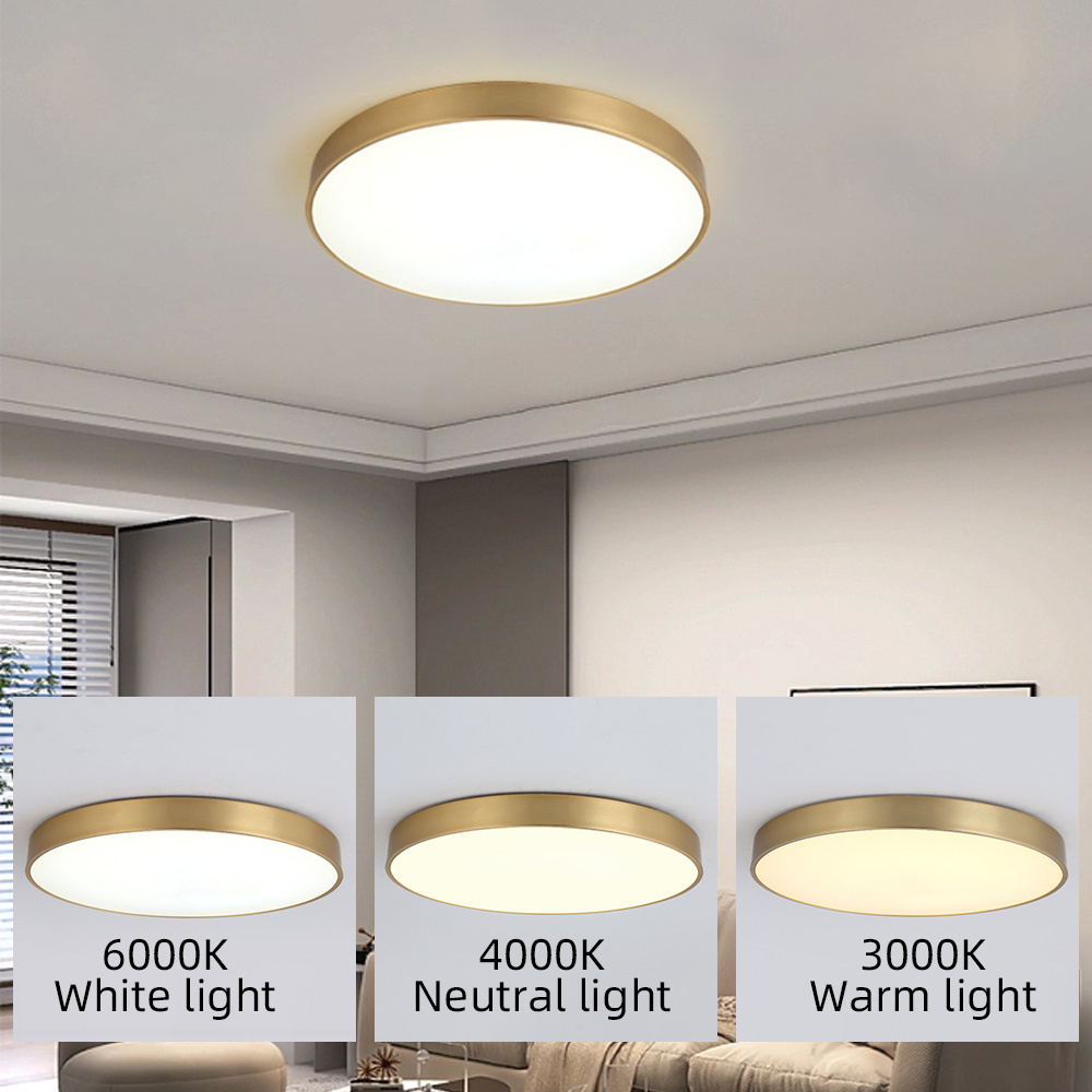 Modern acrylic gold ceiling light nordic ceiling lighting chandelier for living room bedroom home indoor round led ceiling light