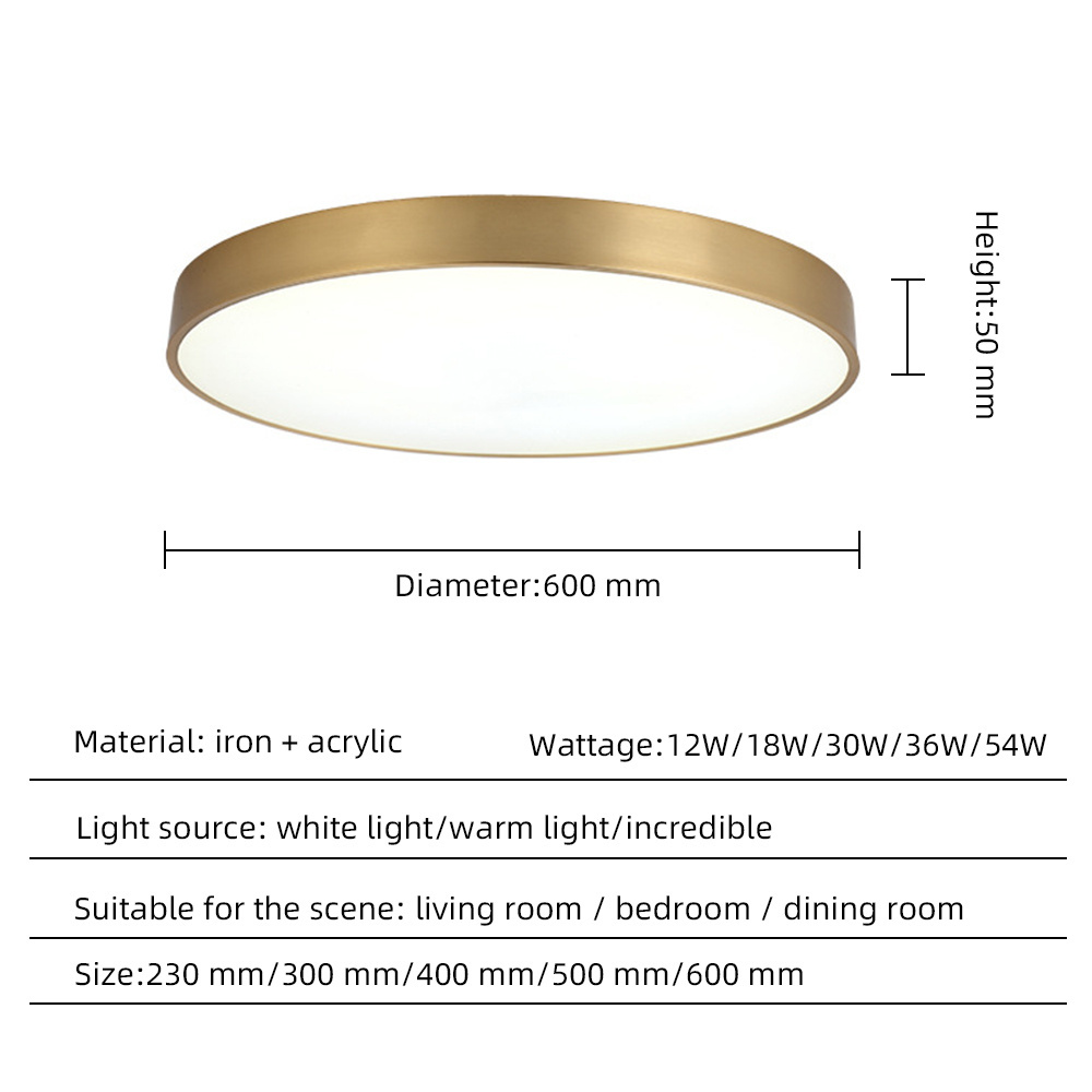 Golden Acrylic Led Ceiling Light Round Bedroom Living Room Lamp Simple and Modern Ceiling Light Mounted Fixtures Ceiling Light