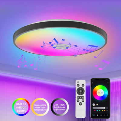 Creative Design 110V 220V Living Room Bedroom Smart Bluetooth Control Music Lamp 40w Dimming Acrylic Round Led Ceiling Lights