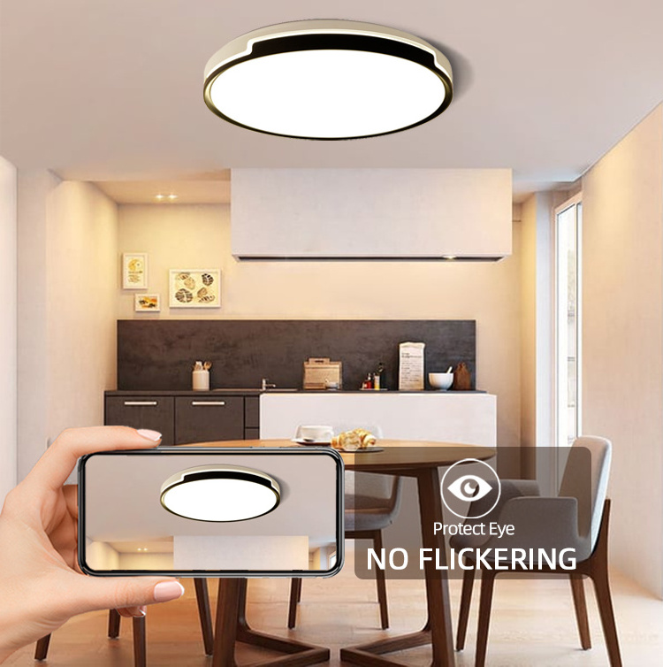 Ceiling lighting modern bedroom living room decoration dimmable smart remote control ceiling lights for home ceiling lights