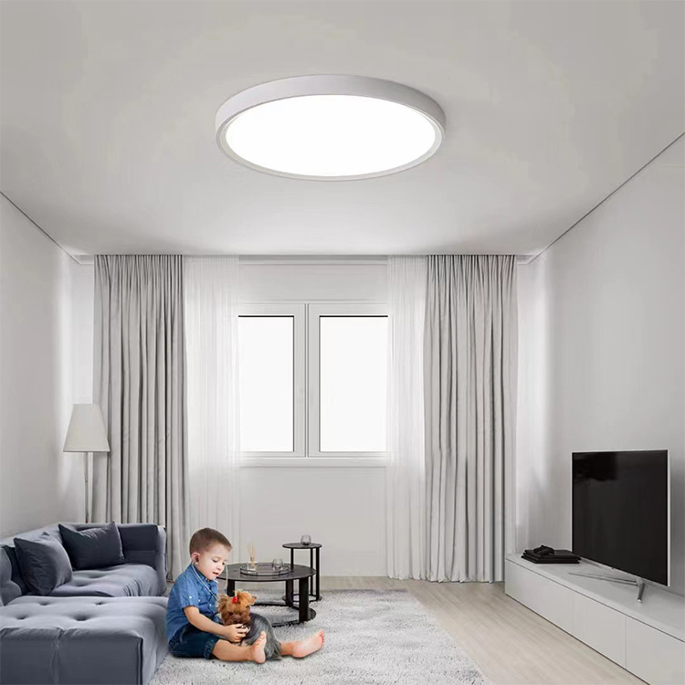 LED Ceiling Light Fixture Low Profile Round Ceiling Lamp for Indoor Home Lighting White Black Chandler Ceiling Light Chandelier