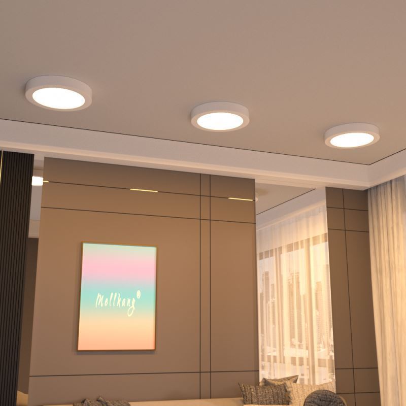 Luxury ultra thin thickness thin etl 6w 12w 18w 24w round led dimmable ceiling panel light ultra surface mounted panel lights