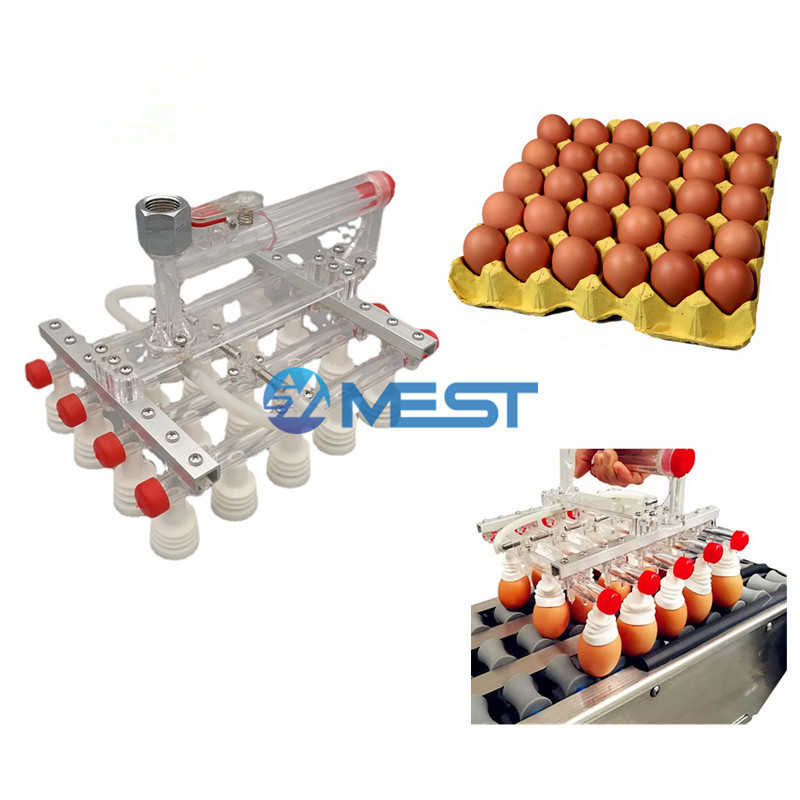 Chicken Egg Vacuum Sealing Machine Egg Vacuum Packing Machine Egg Picker