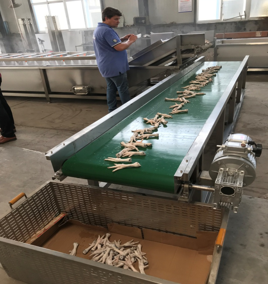 Automatic Chicken Feet Cleaning Machine Chicken Feet Washing Peeling Machine Chicken Paws Skin Remove Machine