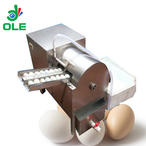 Commercial Duck Egg Stainless Steel Washing Machine 4000PCS/H Chicken Eggs Cleaning Machine For Sale