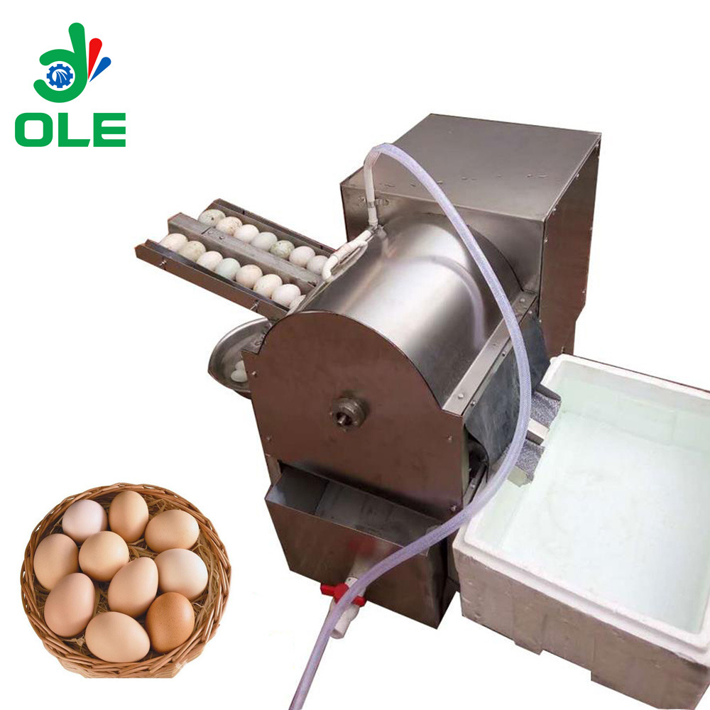 Commercial Duck Egg Stainless Steel Washing Machine 4000PCS/H Chicken Eggs Cleaning Machine For Sale