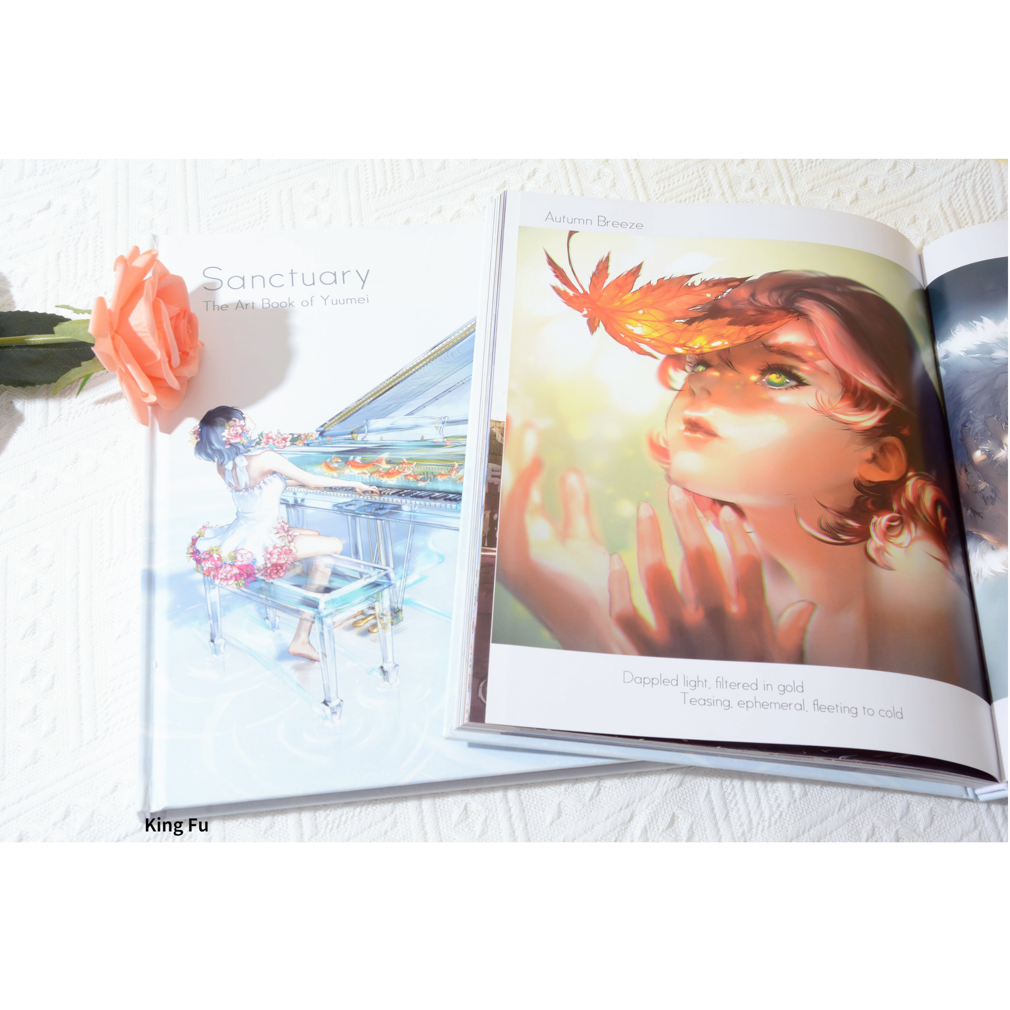 Custom Art Book Photo Books Printing Hardcover Binding with Dust Jacket Book Printer in China