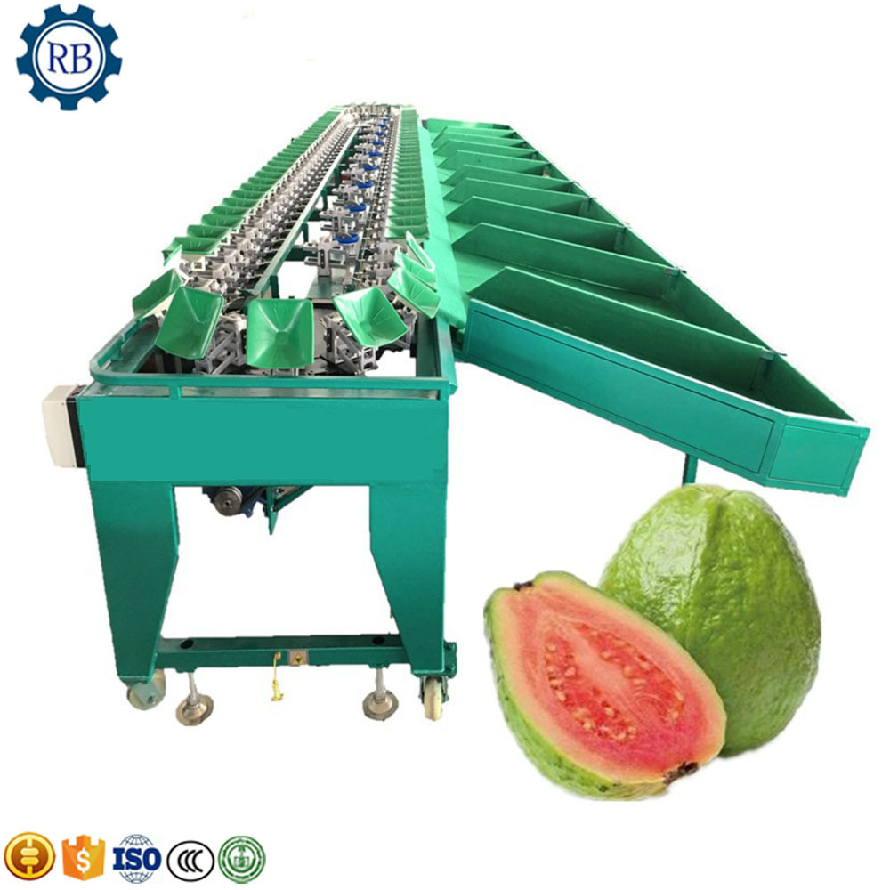 Scallop Weighing Sorting Machine Sea Cucumber Oyster Weight Sorting Seafood Weigh Grading Machine With Multi-Grades