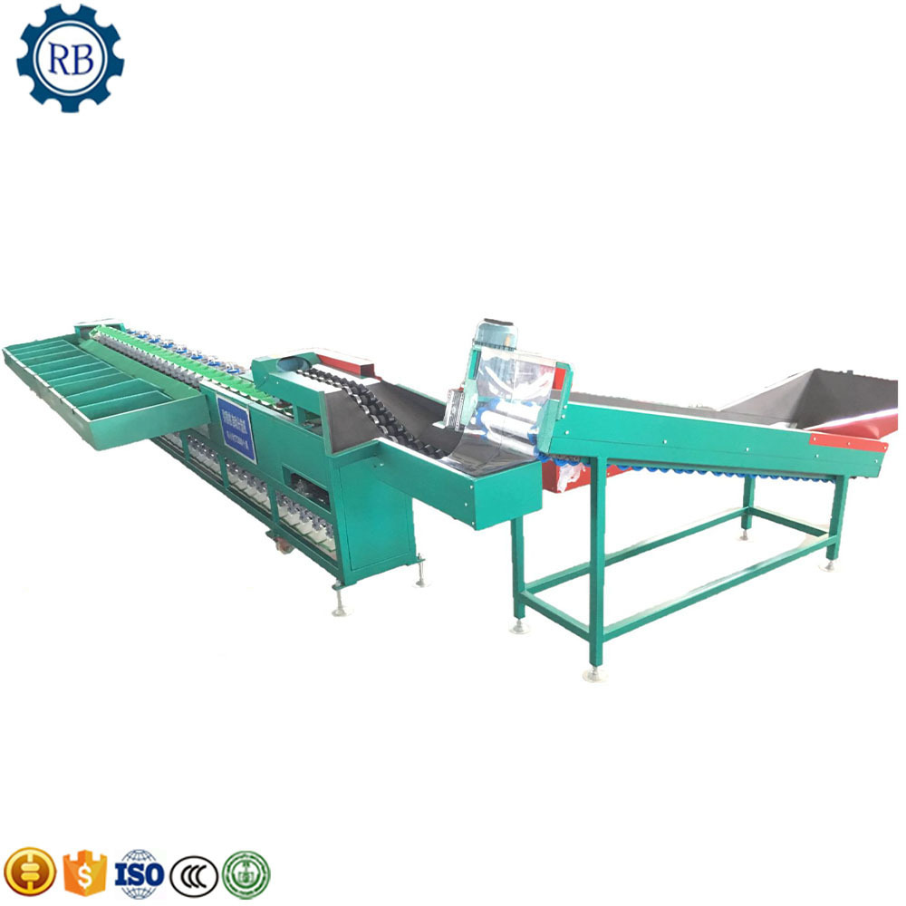 Scallop Weighing Sorting Machine Sea Cucumber Oyster Weight Sorting Seafood Weigh Grading Machine With Multi-Grades