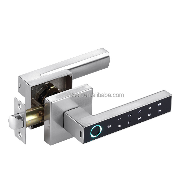 Digital Electric Password Finger-print Smart Lever Door Handle Lock for the bedroom entrance