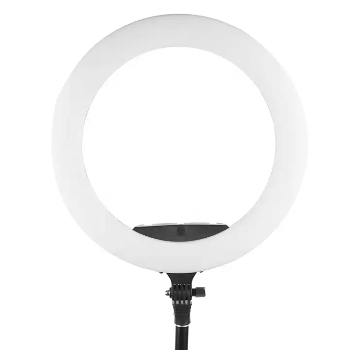 Ring Light 18 Led Large Light Ring Light with Wall Mount Dimmable Makeup Selfie with Carrying Bag and Remote Controller