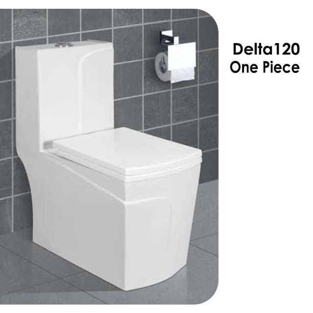 Bathroom Seat Toilet WC Ceramic One Piece Toilet Delta-120 S-Trap 225mm White Color Smart Toilet with Warm Cover Seat