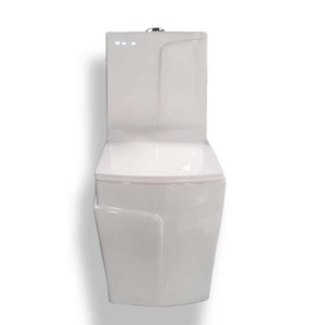 Bathroom Seat Toilet WC Ceramic One Piece Toilet Delta-120 S-Trap 225mm White Color Smart Toilet with Warm Cover Seat