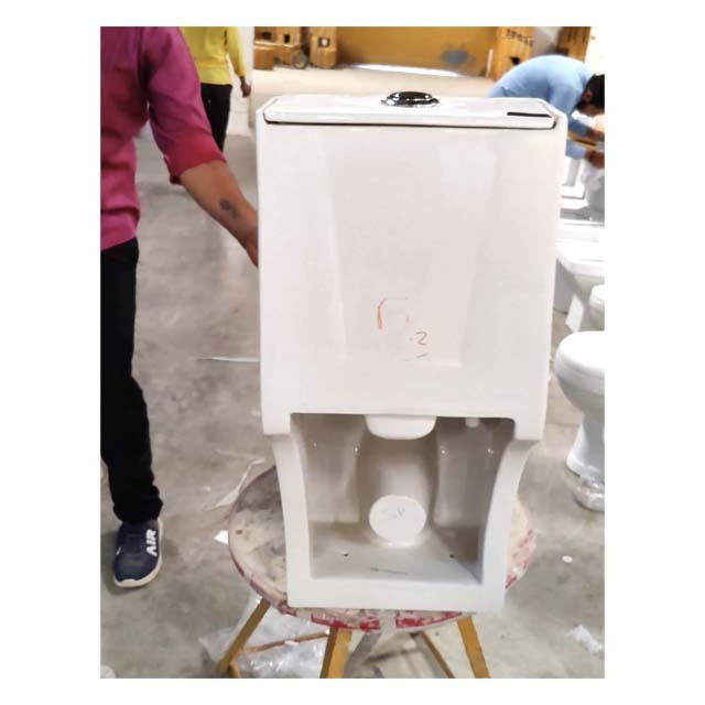 Bathroom Seat Toilet WC Ceramic One Piece Toilet Delta-120 S-Trap 225mm White Color Smart Toilet with Warm Cover Seat