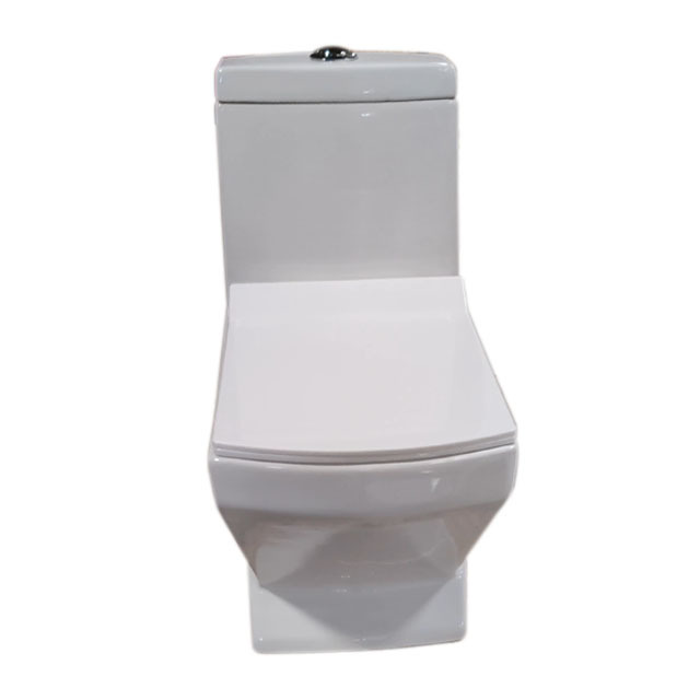 Modern Vega-14 White One Piece Ceramic WC Toilet with Bowl S-Trap Drainage Pattern Bathroom Sanitaryware Bidet Toilet Seat