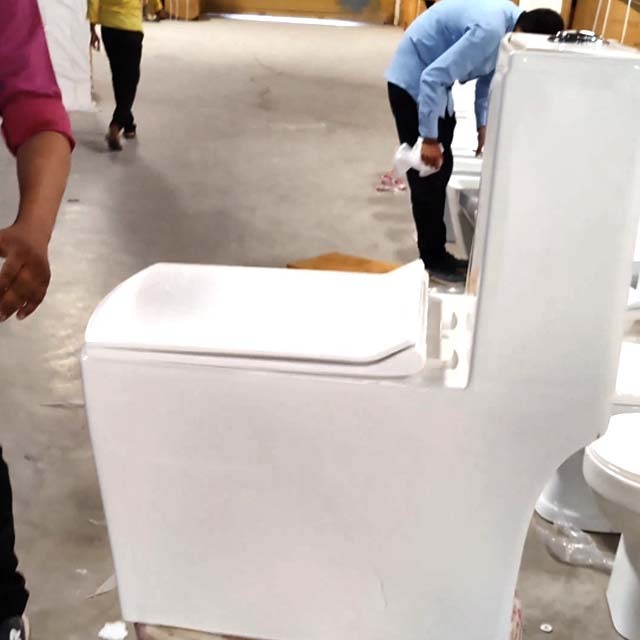 Bathroom Seat Toilet WC Ceramic One Piece Toilet Delta-120 S-Trap 225mm White Color Smart Toilet with Warm Cover Seat