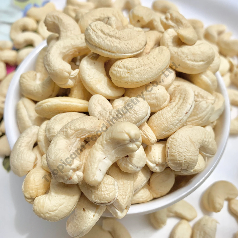 Wholesale Cashew Nut 100g Bag Pack Salted with Testa Healthy Roasted Cashew Walnuts Premium Quality Cambodian Cashew Nuts 2023