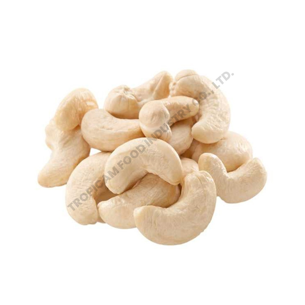 Wholesale Cashew Nut 100g Bag Pack Salted with Testa Healthy Roasted Cashew Walnuts Premium Quality Cambodian Cashew Nuts 2023