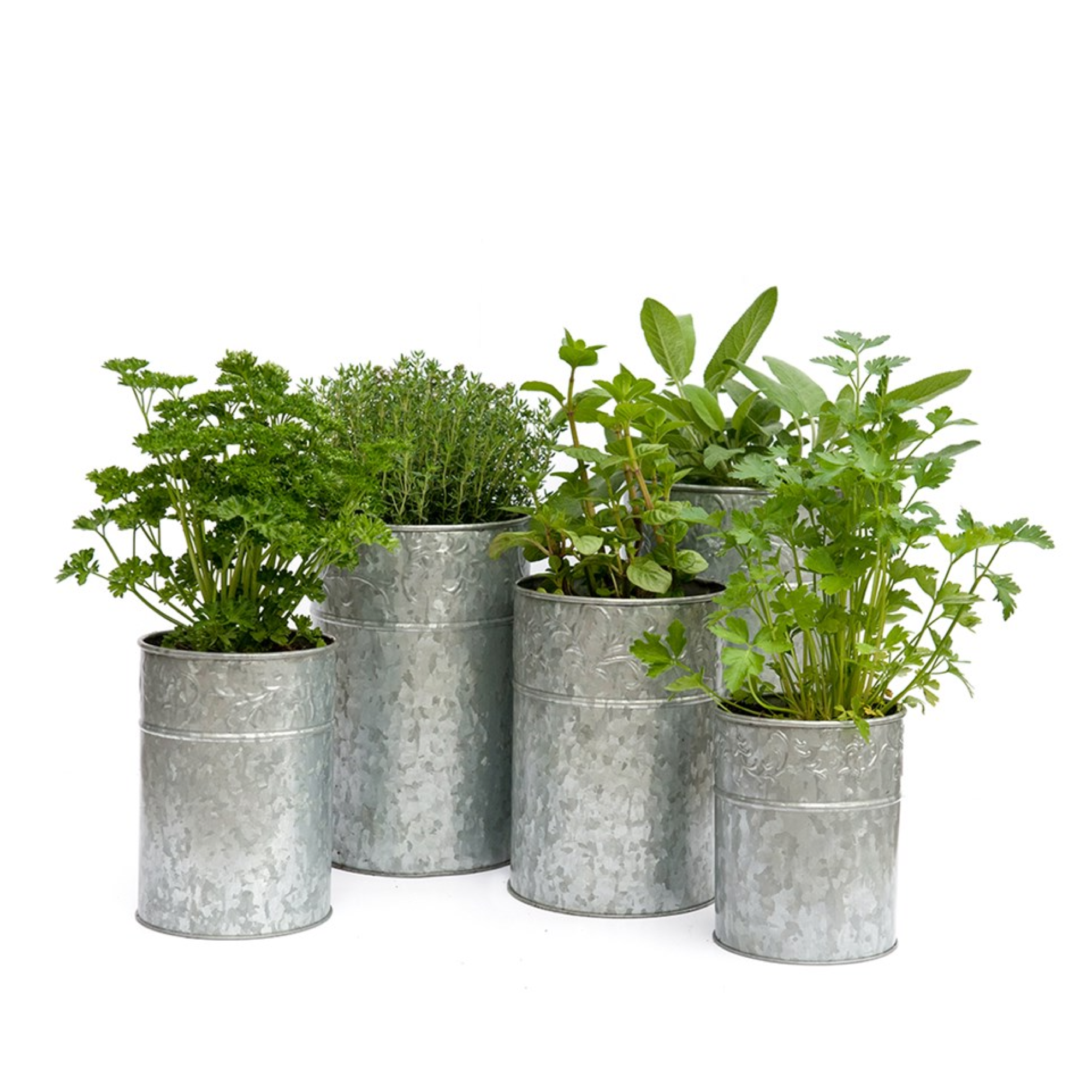 Foreign Design Metal Handmade Set of 3 Copper Planter For Garden And Home Decoration Made of Pure Metal Available Wholesale