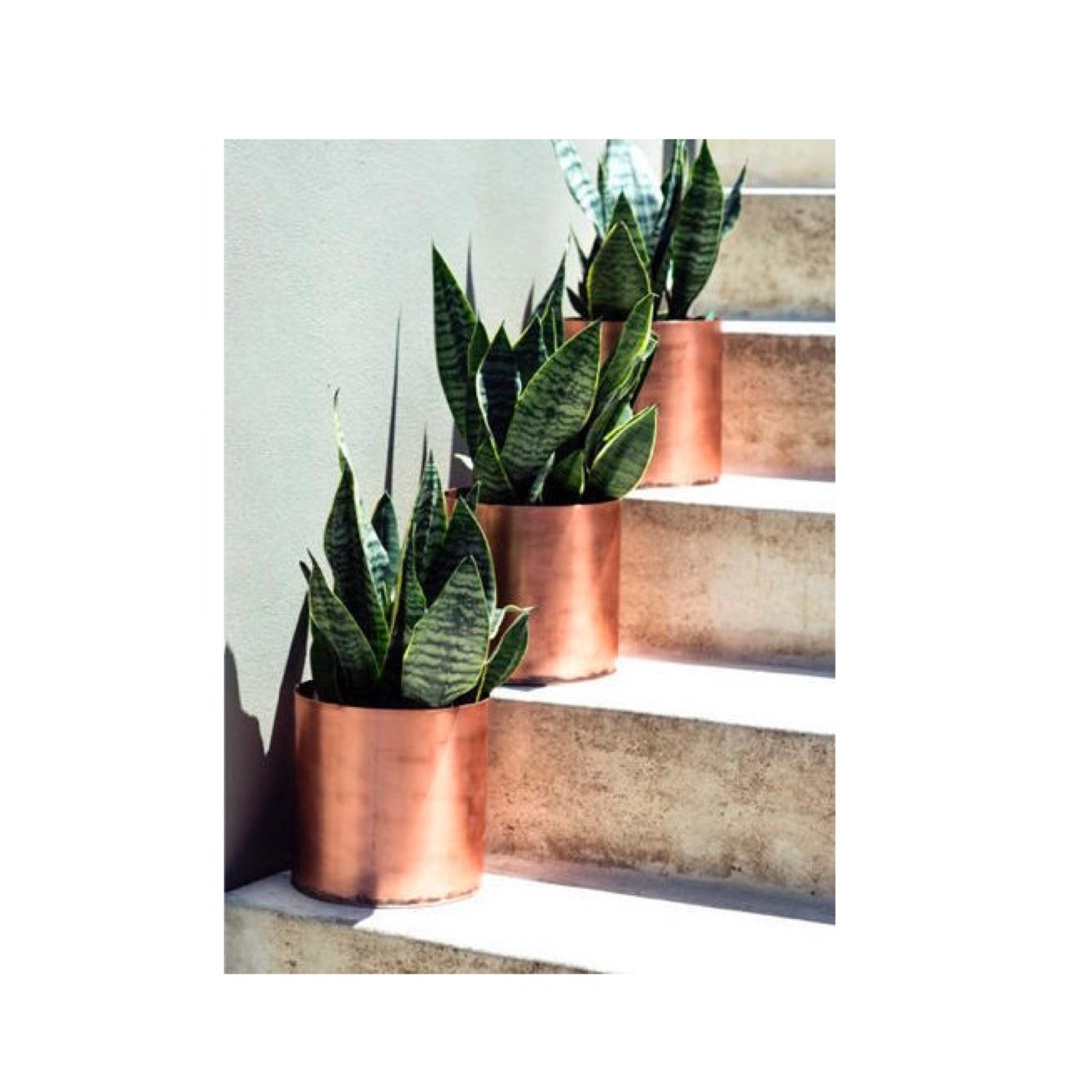 Foreign Design Metal Handmade Set of 3 Copper Planter For Garden And Home Decoration Made of Pure Metal Available Wholesale