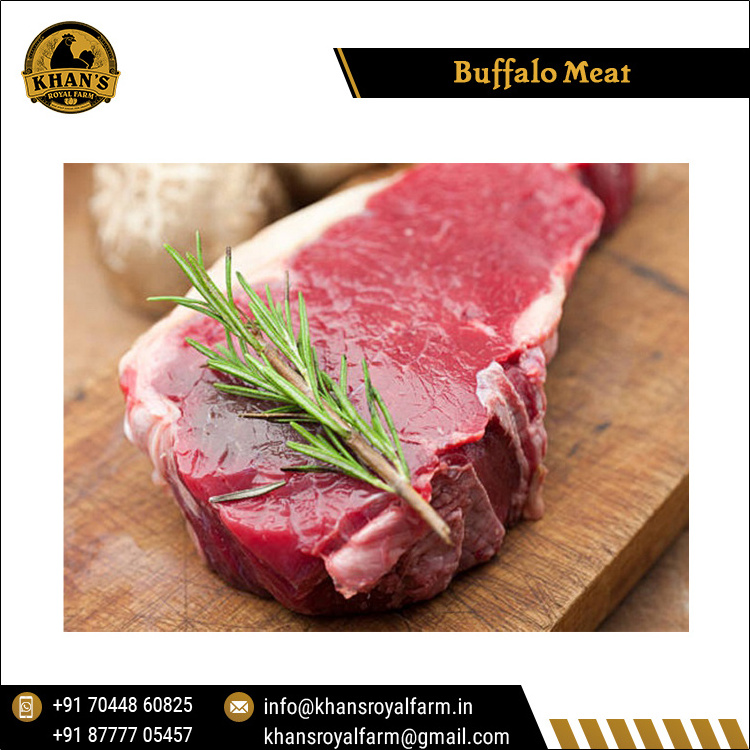 Exclusive Sale on Highest Quality Fresh and Frozen Style HALAL Buffalo / Beef Meat for Bulk Buyers