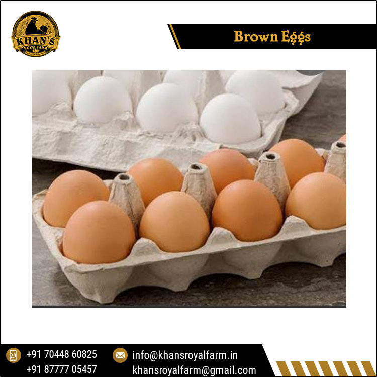 Fertile Hatching Chicken Egg/Fresh Chicken Table Eggs/Quail Brown Eggs