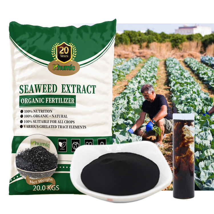 Alga 800 seaweed agriculture fertilizer plant growth regulator organic alginic acid seaweed Algae Essence fertilizer