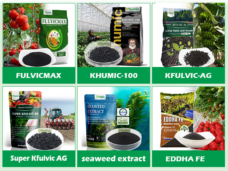 NPK compound fertilizer water soluble plant growth regulation slow release npk fertilizers with chelated microelements