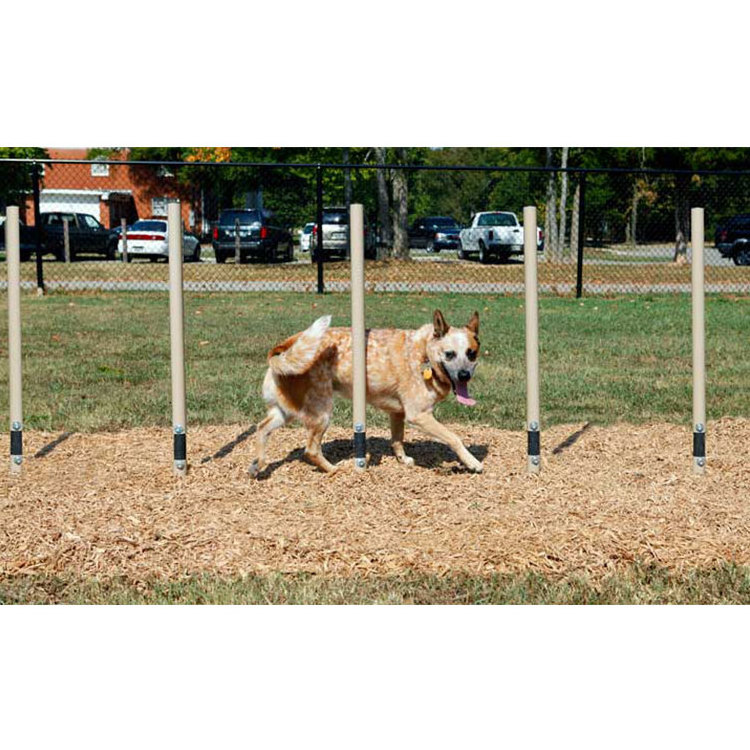 Dog Park Training playground Equipment Teeter Totter