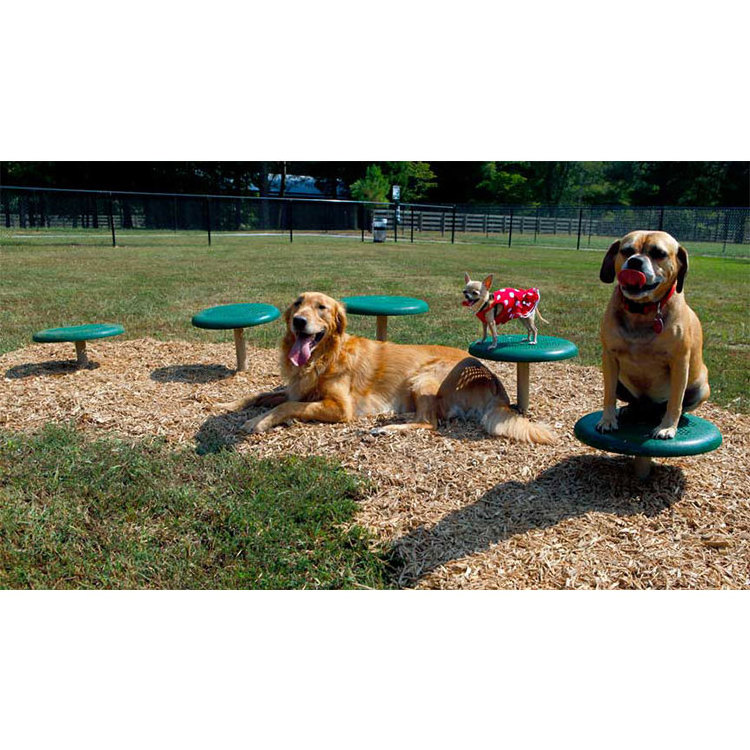 Dog Park Training playground Equipment Teeter Totter