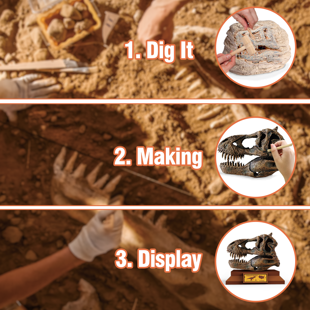 kid educational toy stem intelligence development toy set 6 assorted dinosaur skull excavation kit skull dig kit