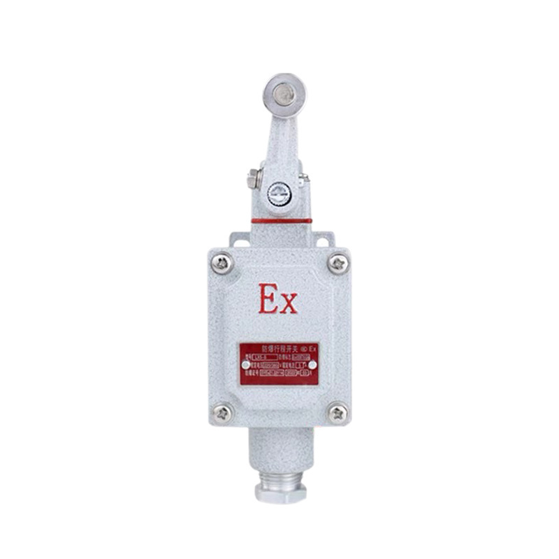 LX5-IIB Lever Limit Switch  Industrial Explosion-Proof Switch Ex Proof Safety Switch