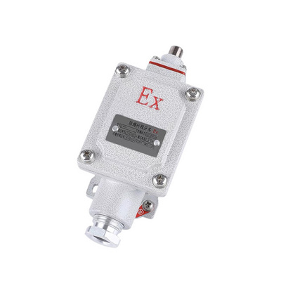 LX5-IIB Lever Limit Switch  Industrial Explosion-Proof Switch Ex Proof Safety Switch