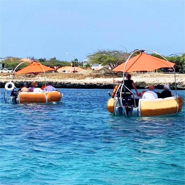 Customized Water Park Equipment Contain 6-10 people Grill Boat BBQ Donut Boat for sale