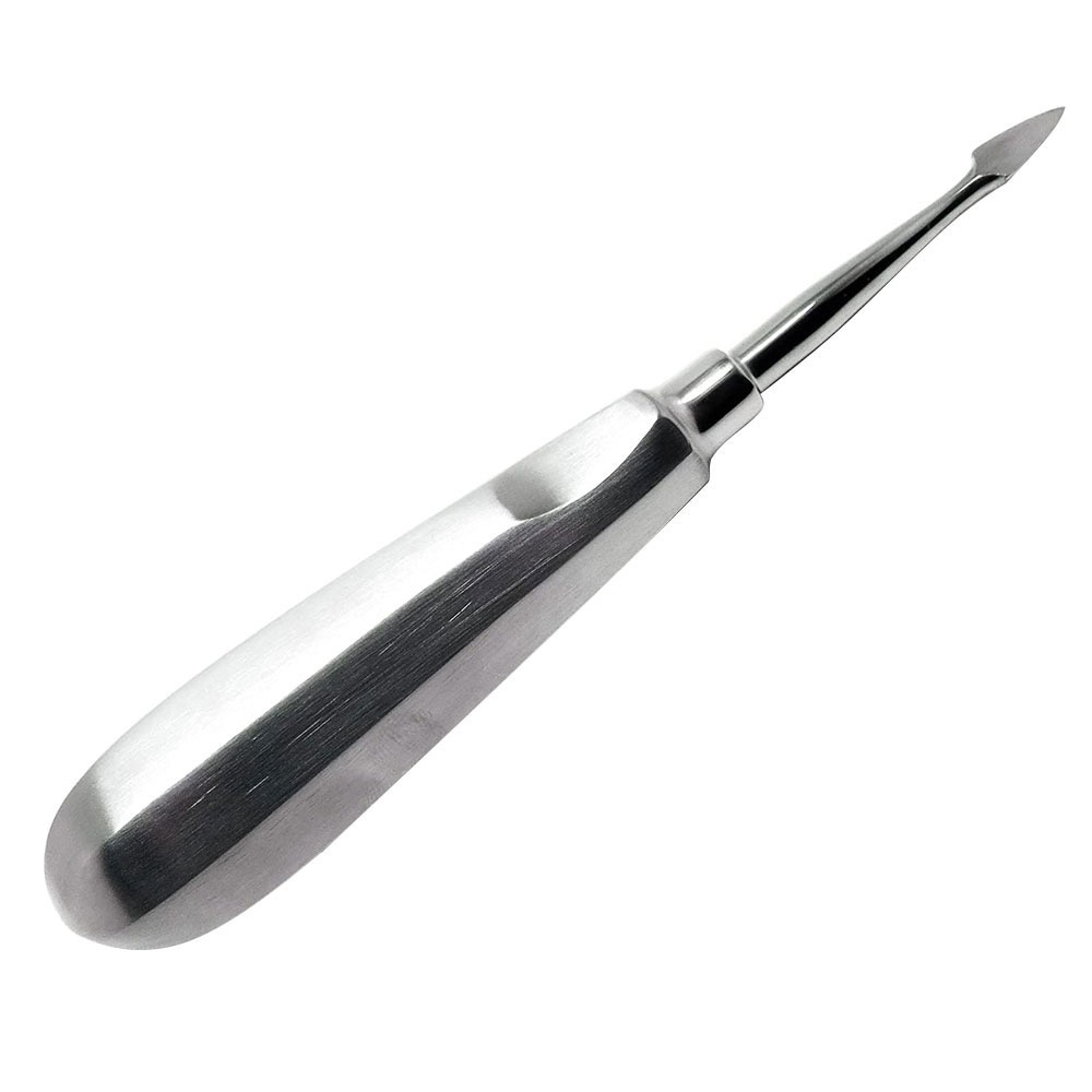 Dental Surgical Instruments Stainless Steel Root Elevators Surgical And Dental Instruments