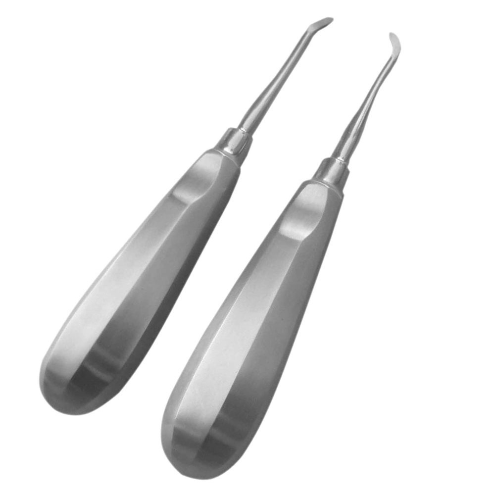 Dental Surgical Instruments Stainless Steel Root Elevators Surgical And Dental Instruments