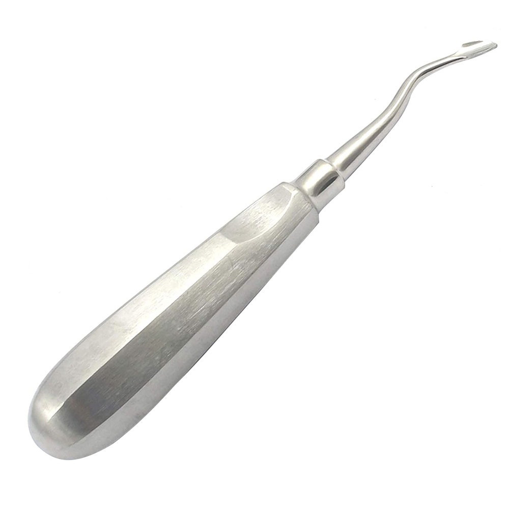 Dental Surgical Instruments Stainless Steel Root Elevators Surgical And Dental Instruments