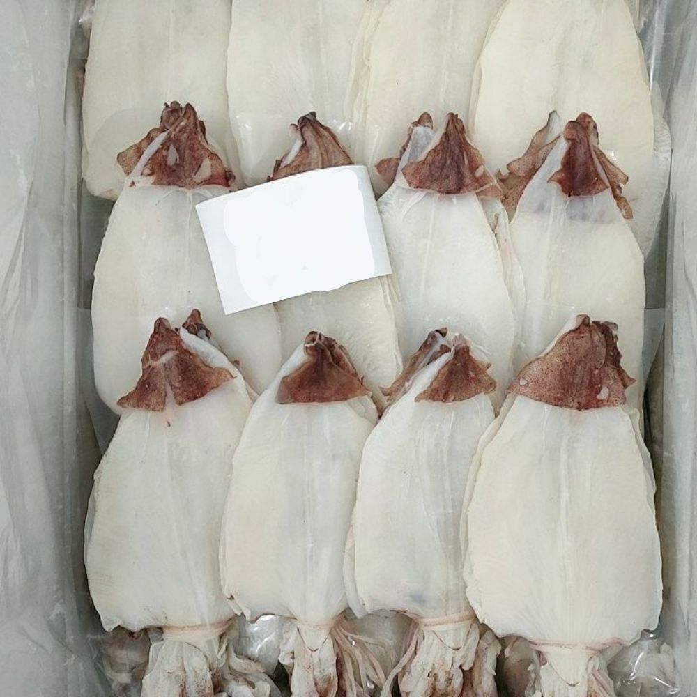 Hot Selling Dried Cuttlefish Fresh Squid From Vietnam Delicious Snacks: Certified Quality Wholesale Purchase Ready To Ship 2024