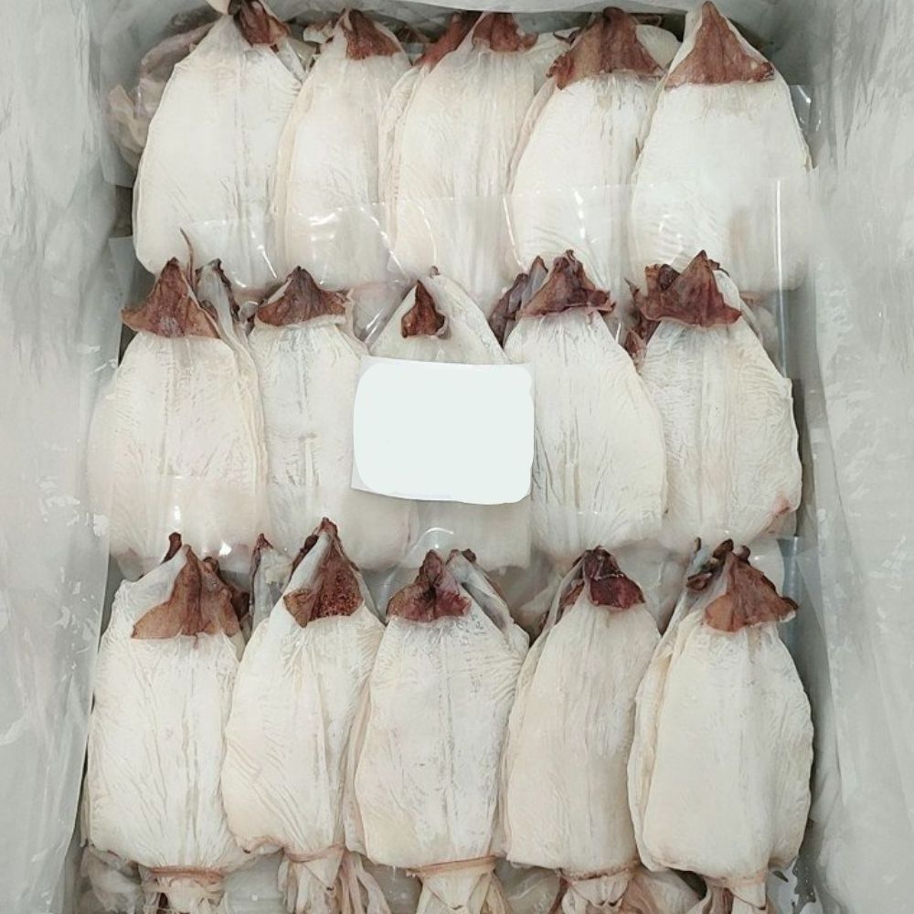 Dried Cuttlefish Frozen Dry Squid From Vietnam Ready To Ship From Wholesale Seafood Supplier Fresh Dried Cuttlefish In Bulk