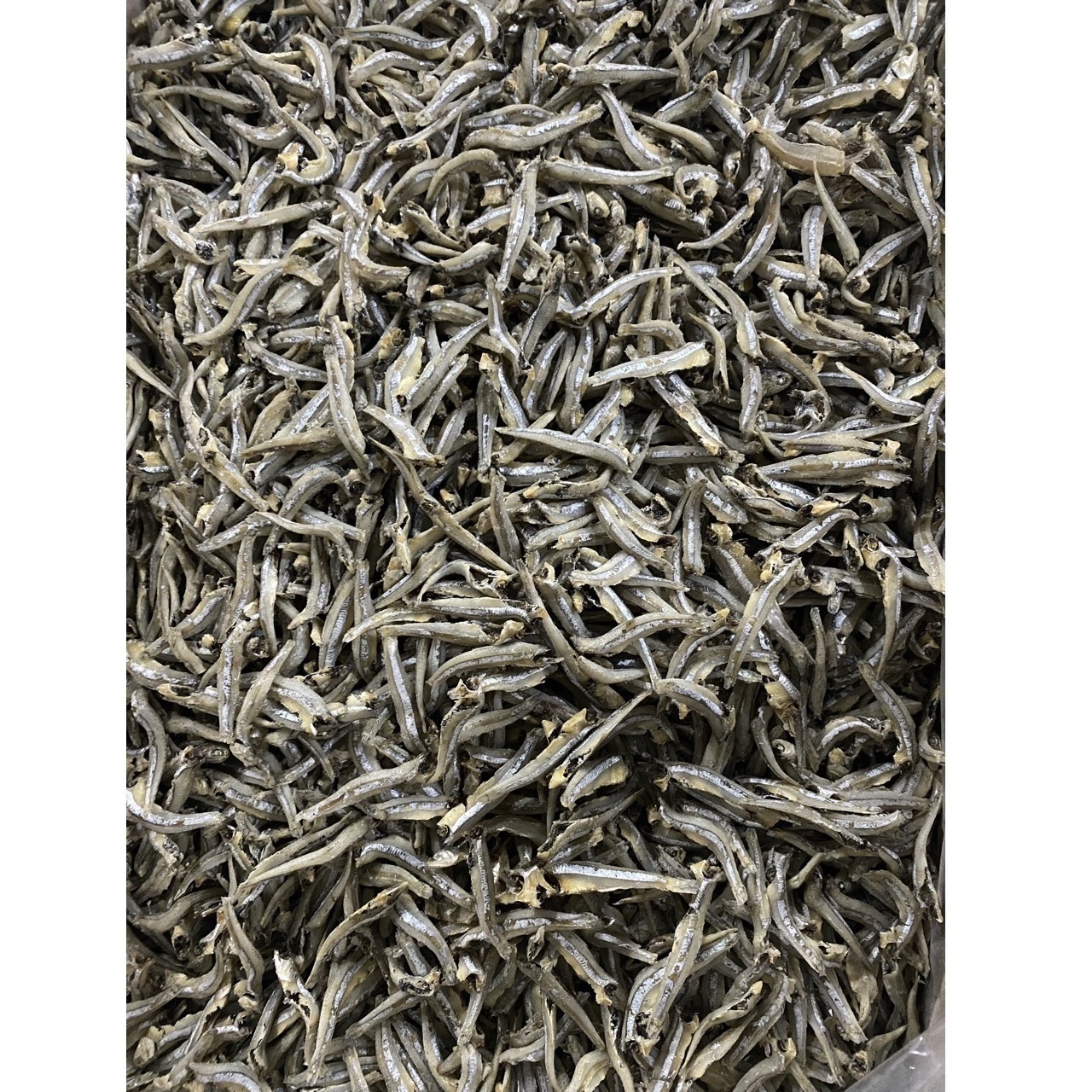 100% dry in the sun Hot Selling Dried Anchovy Commerson Anchovy 13kgs New Top Fish Bulk Dried Small Fish From Wholesale Market