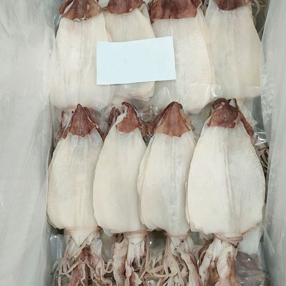 Dried Cuttlefish Frozen Dry Squid From Vietnam Ready To Ship From Wholesale Seafood Supplier Fresh Dried Cuttlefish In Bulk